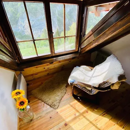 Ljubicin * 바이나 바슈타