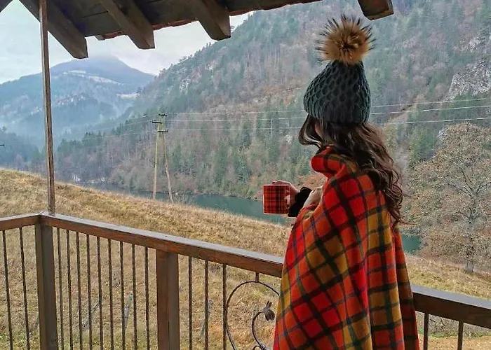 Вилла Ljubicin *