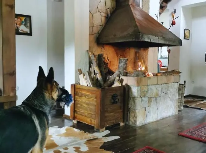 Вилла Ljubicin *